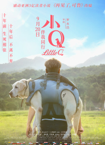欧美a视频在线观看